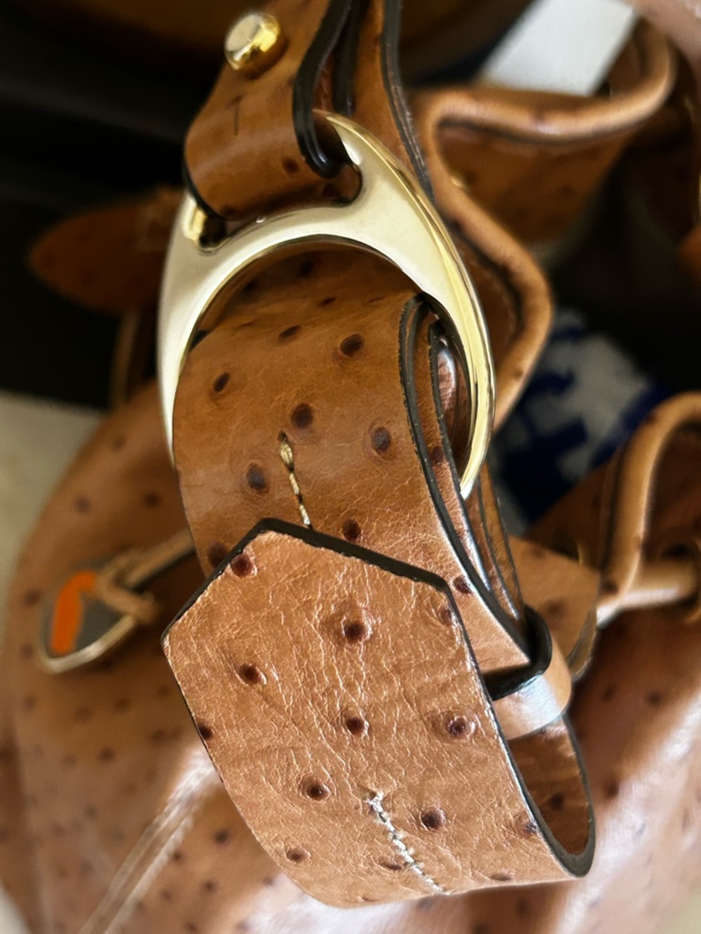 Dooney & Bourke Tan Ostrich-Embossed Drawstring Bucket Bag - Picture 15 of 17